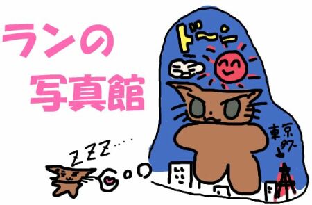 ̎ʐ^